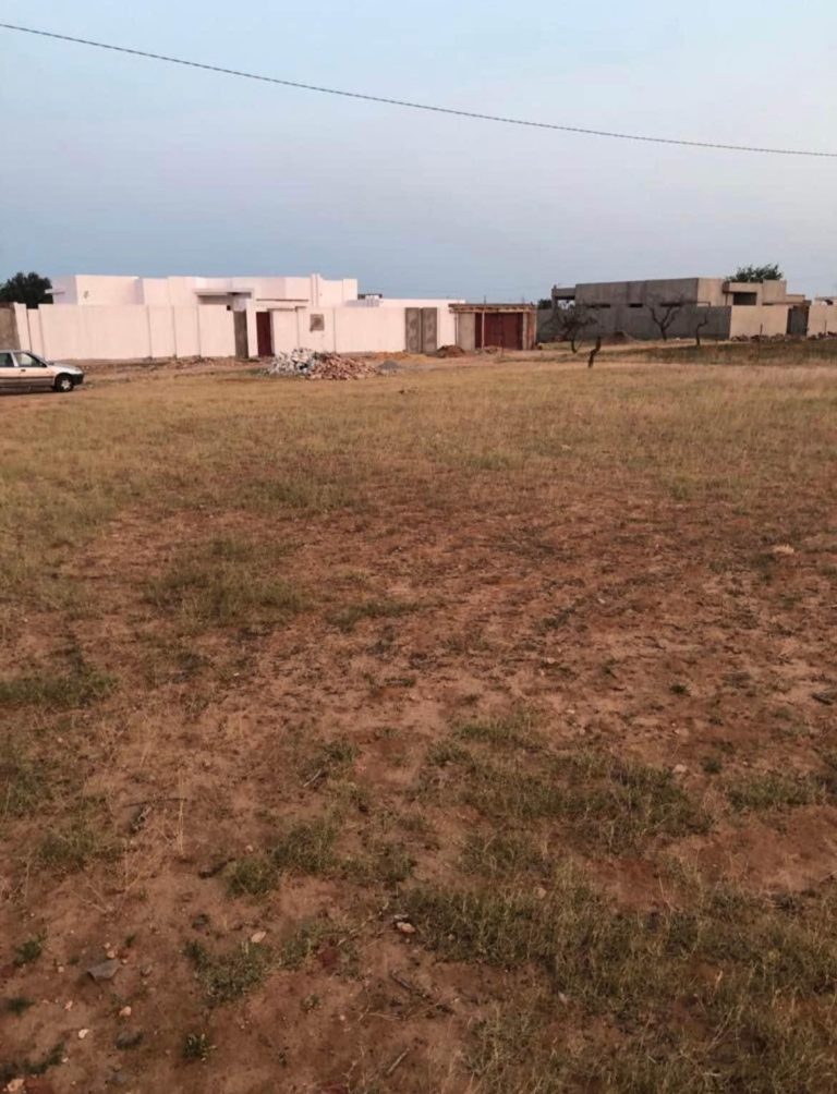 Terrain 800 m route ain sfax