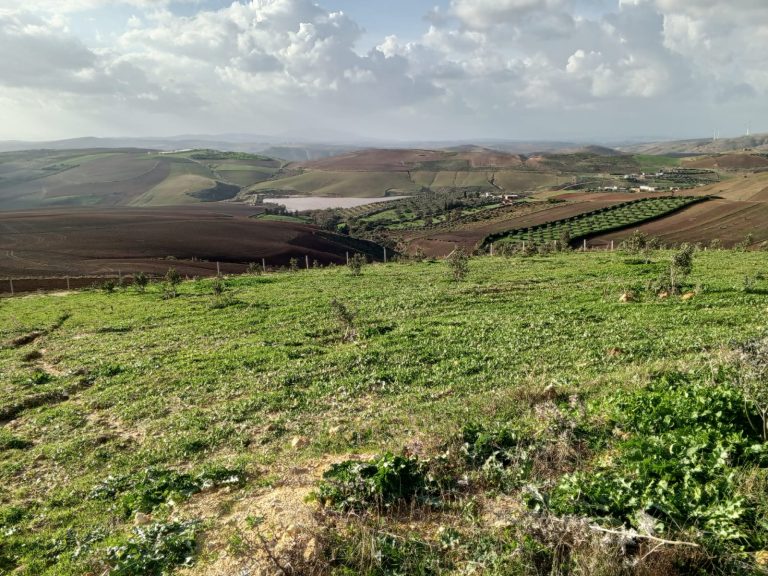 Terrain agricole &agrave; bizerte utique