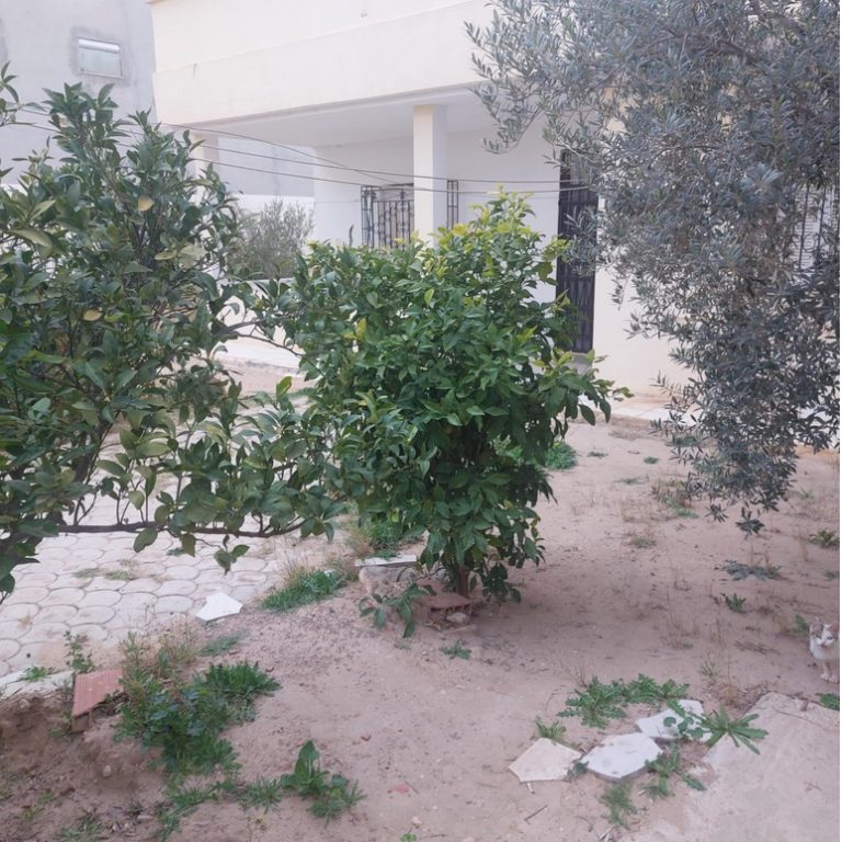 Une villa bien située à kasserine