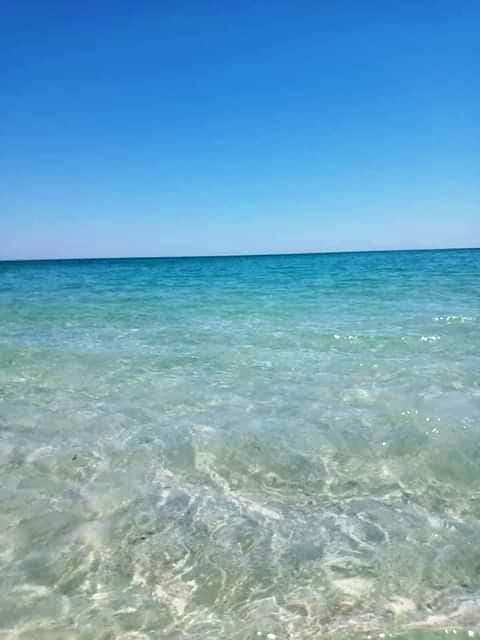 Devenez propri&eacute;taire d'un terrain en bord de mer