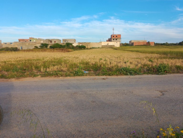 Terrain &agrave; proximit&eacute; de korba chat sidi othman