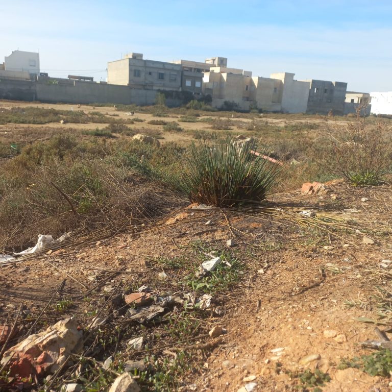 Opportunit&eacute; terrain 376 m titre individuel