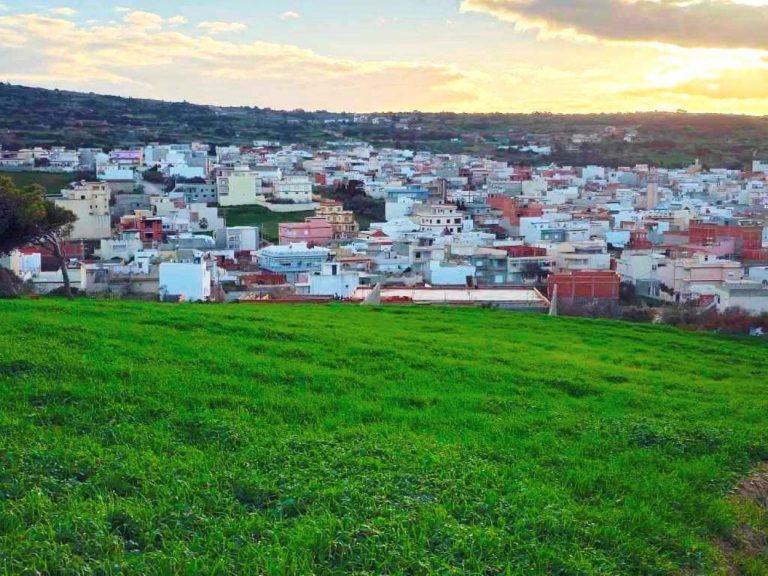 Terrain 800 m2 a rafraf