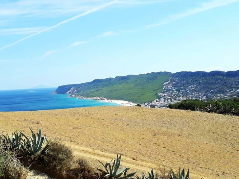 Terrain 800 m2 a rafraf