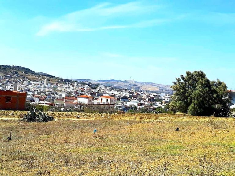 Terrain 800 m2 a rafraf
