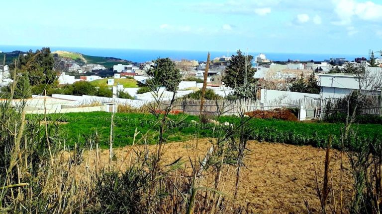 Terrain 820 m2 a rafraf