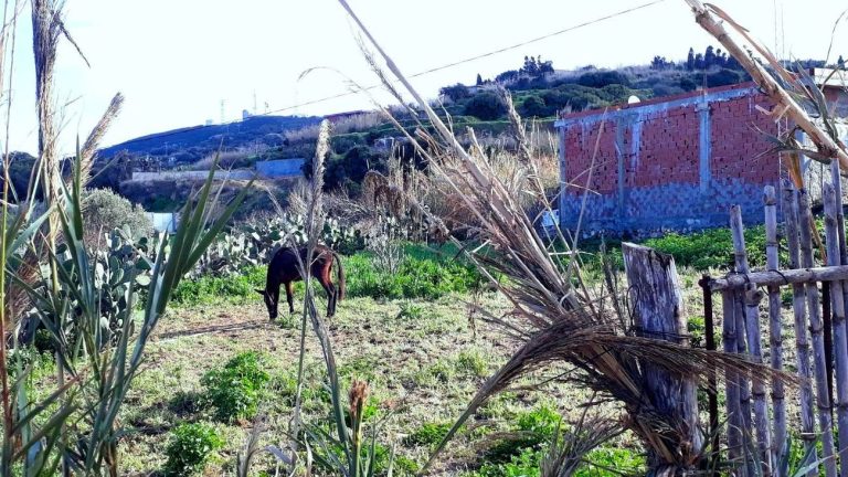 Terrain 820 m2 a rafraf