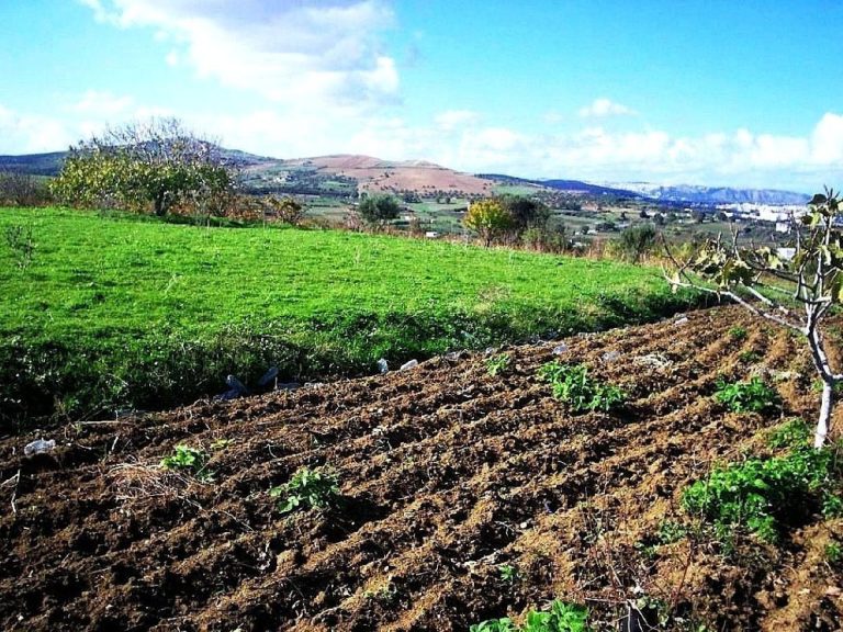 Terrain 530 m2 a rafraf