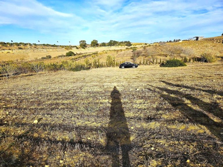 Terrain 530 m2 a rafraf