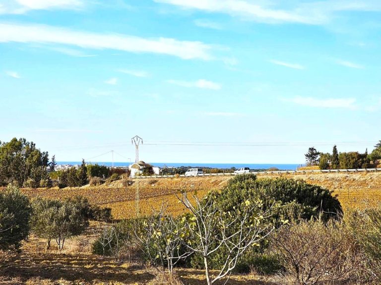 Terrain 530 m2 a rafraf