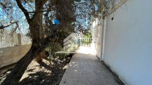 Villa plain pied de 600m2 menzah 5