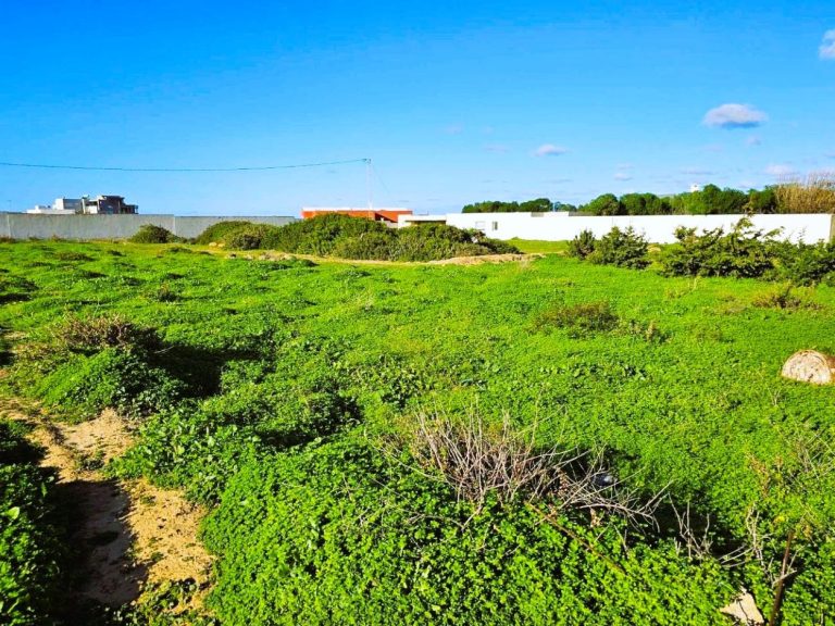 Terrain 1050 m2 rafraf plage ain mestir