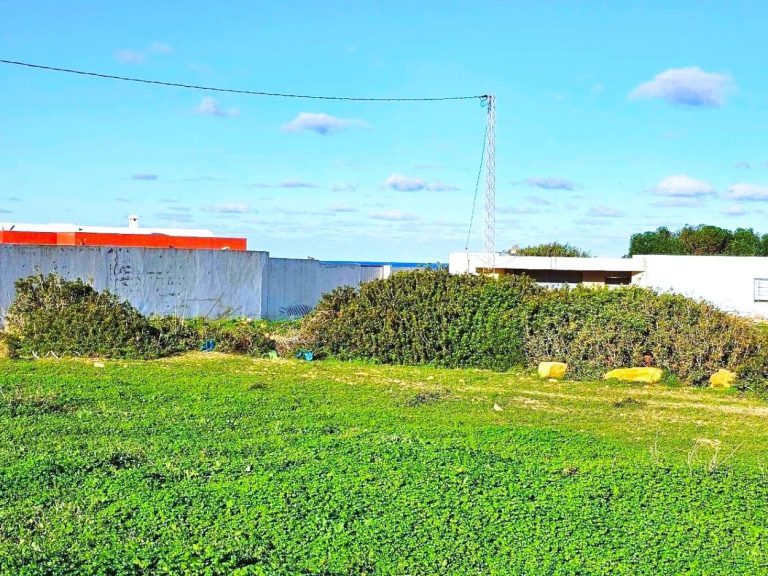 Terrain 1050 m2 rafraf plage ain mestir