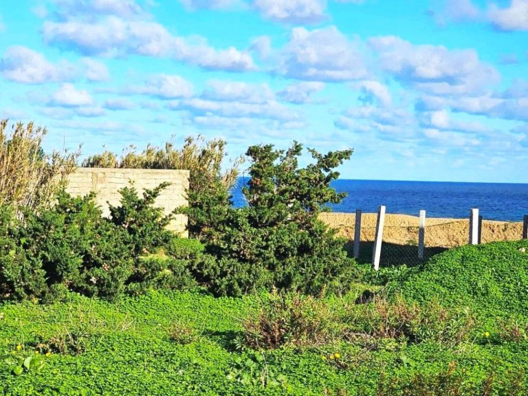 Terrain 1050 m2 rafraf plage ain mestir