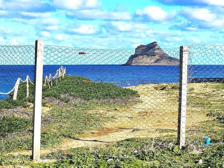 Terrain front mer 2200 m2 rafraf plage ain mestir