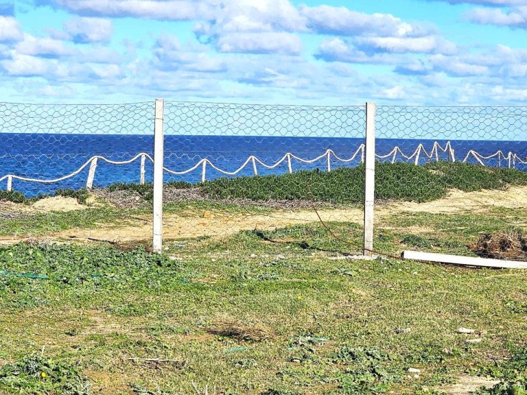 Terrain front mer 2200 m2 rafraf plage ain mestir