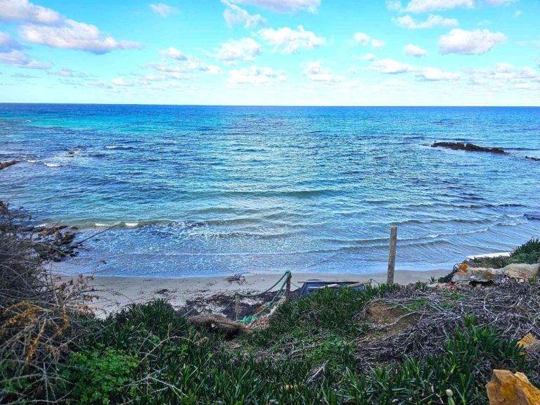 Terrain front mer 2200 m2 rafraf plage ain mestir