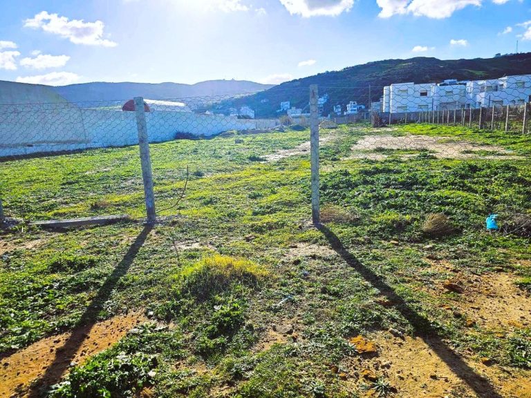 Terrain front mer 2200 m2 rafraf plage ain mestir