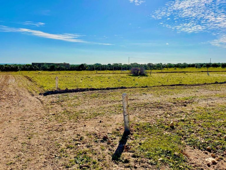 12500 dt terrain a bouficha