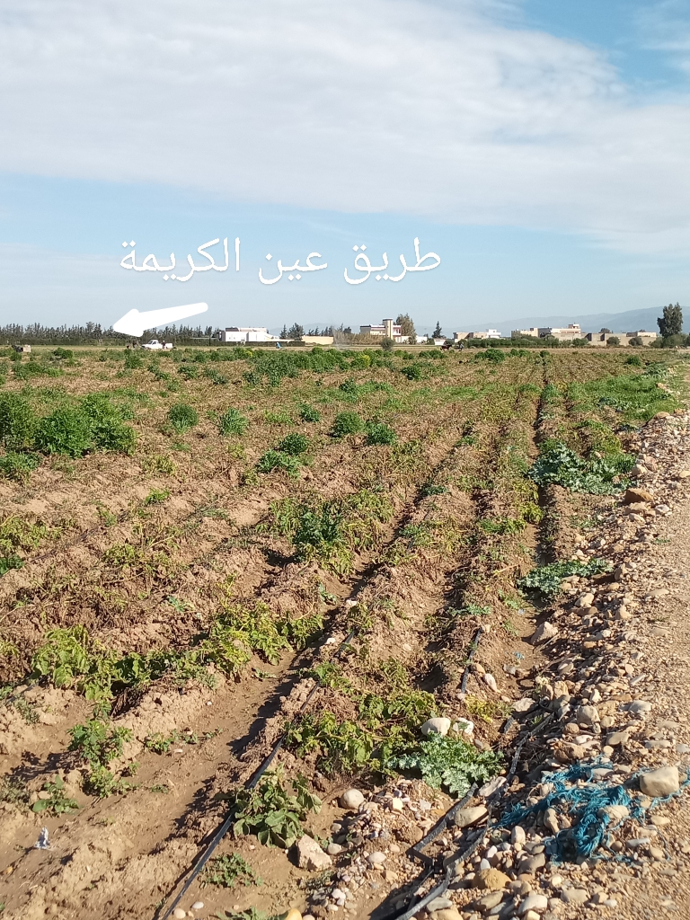 Terrain tout pr&egrave;s de la ville