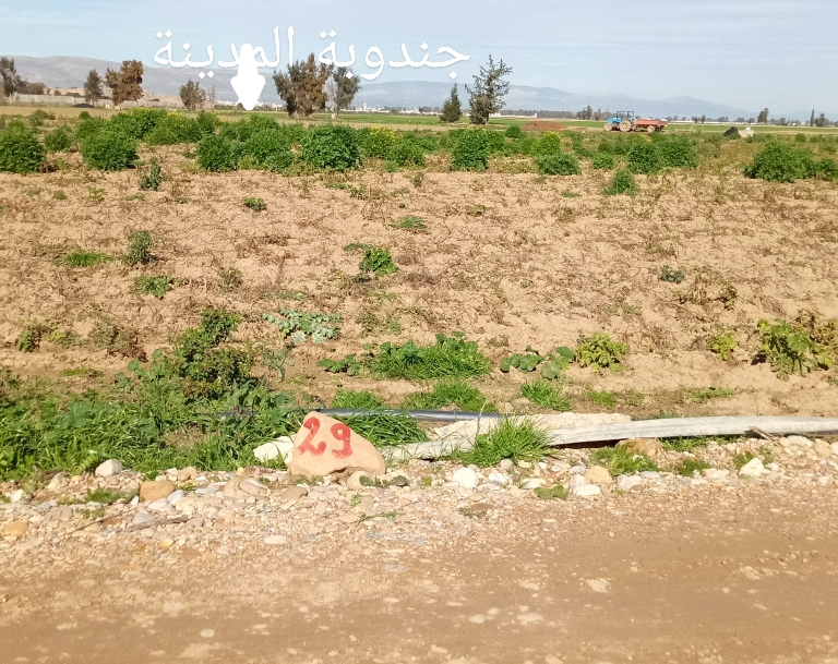 Terrain tout pr&egrave;s de la ville