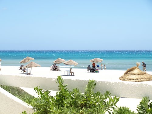 A hammam el ghezaz terrain de 1 ha a partager