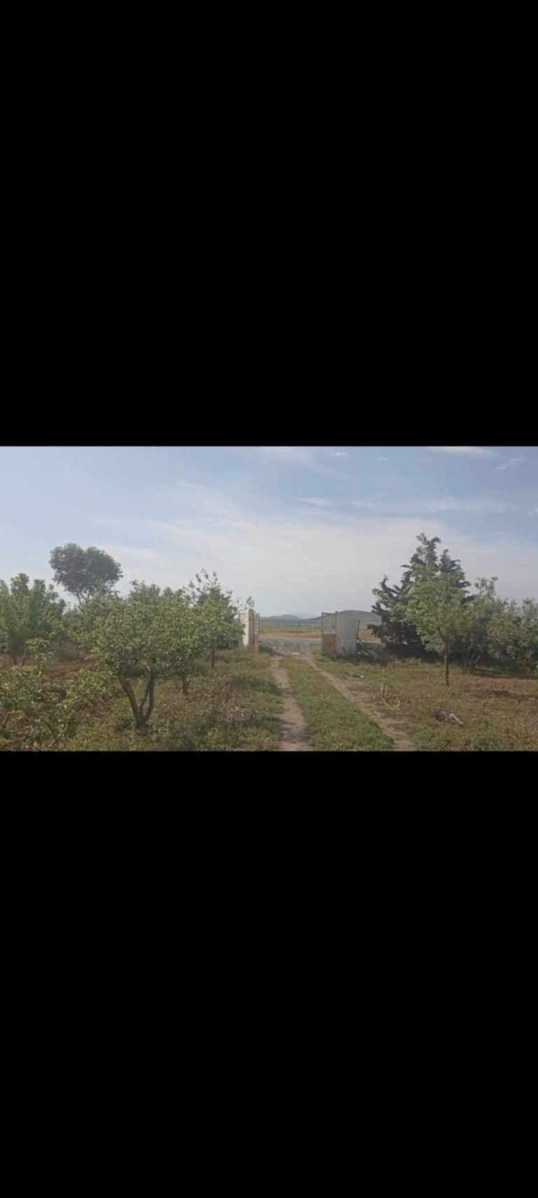 Une belle petite ferme de 1 hectare