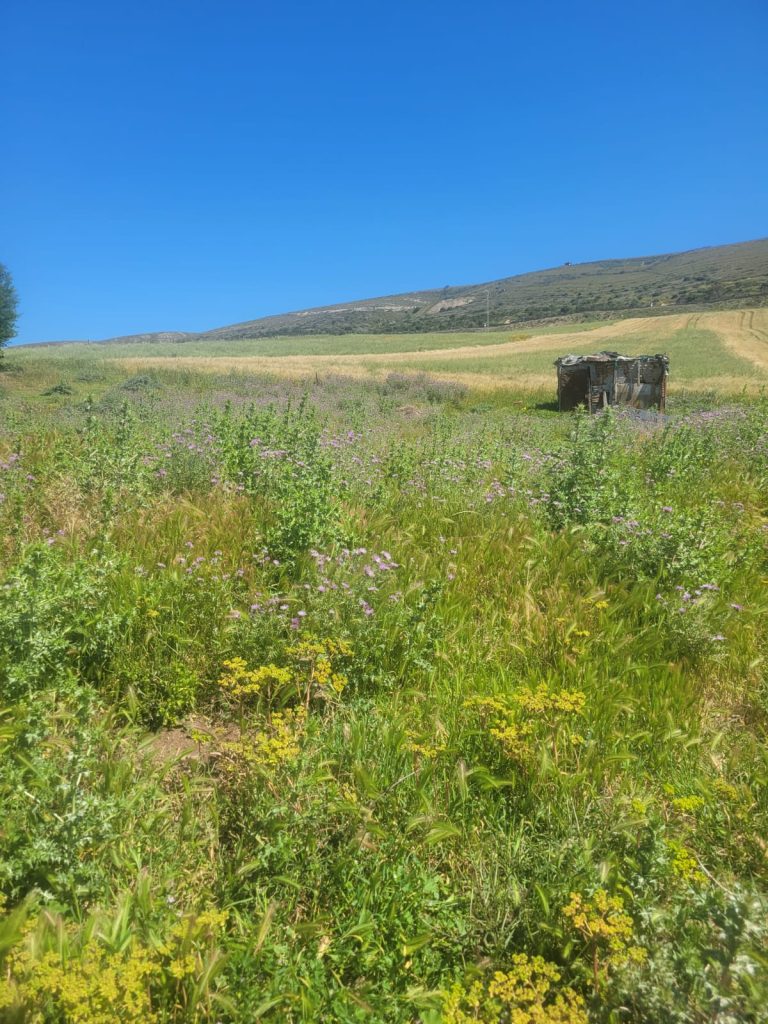 Terrain a methline