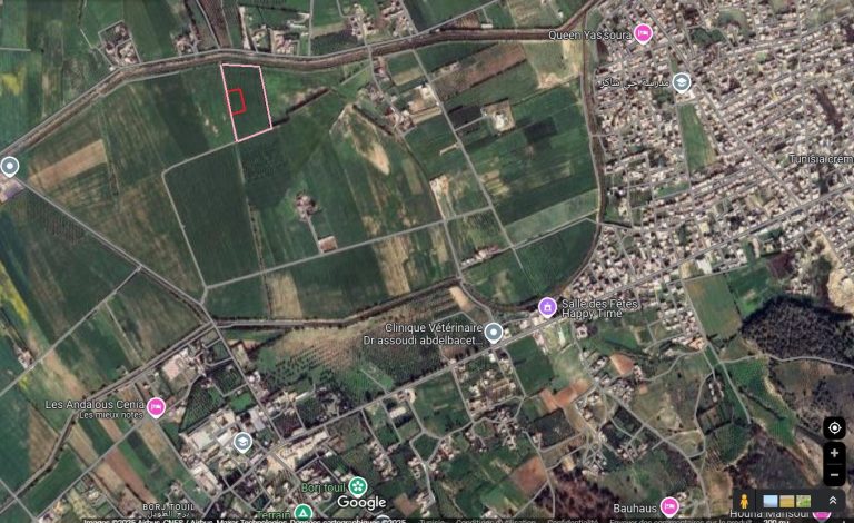 Terrain 5337 m borj touil 70dt m2