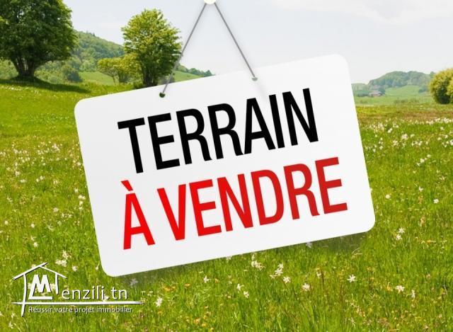Terrain centre ville bizerte