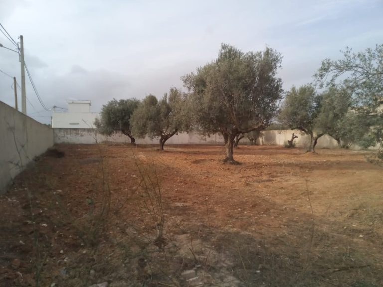 Vnt ter borj touil 600m2