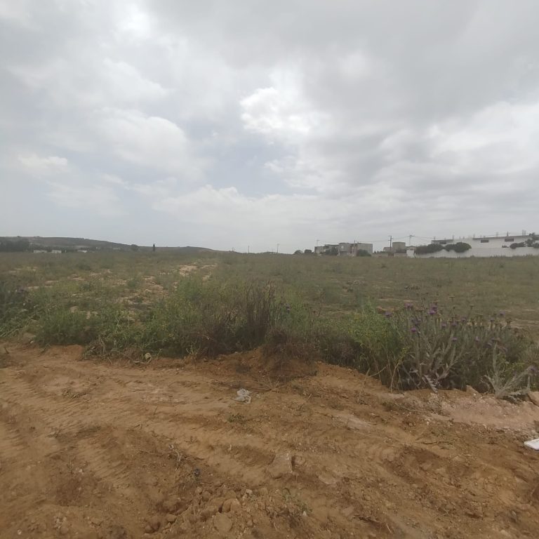 4 lots de terrain &agrave; douar lbey mannouba
