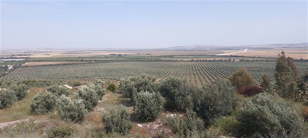 Terrain agricole de 210 ha 100 mille dinars le ha