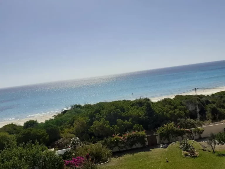 Un terrain de 05 ha