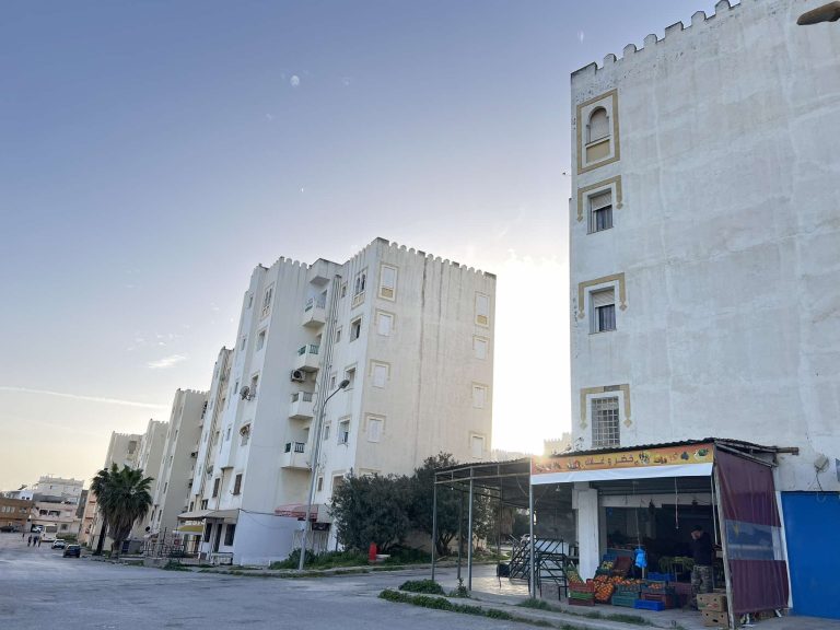 Terrain viabilisé commerciale a cité el borj