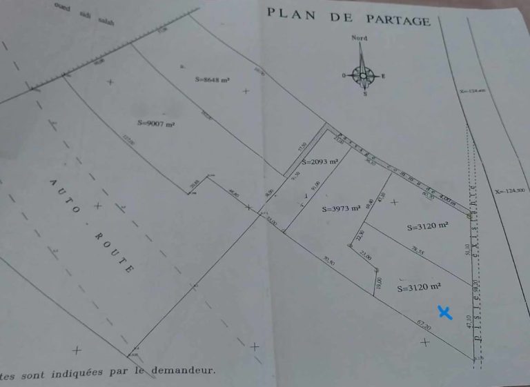 Terrain agricole sortie nord sfax