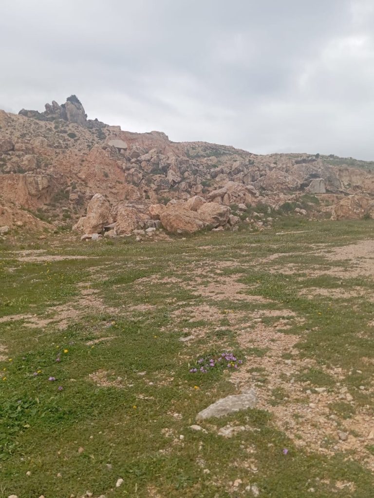 Terrain avec gisement de marbre proche el mazraa