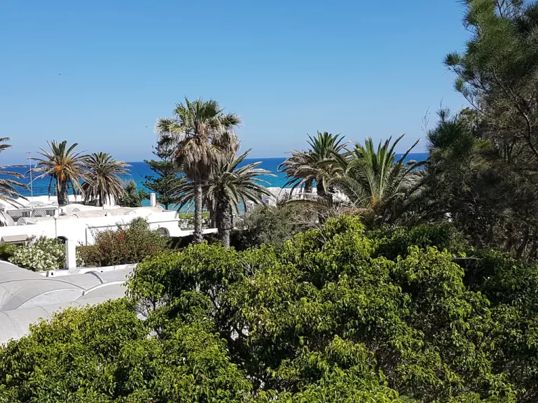 V556 villa plumette hammamet