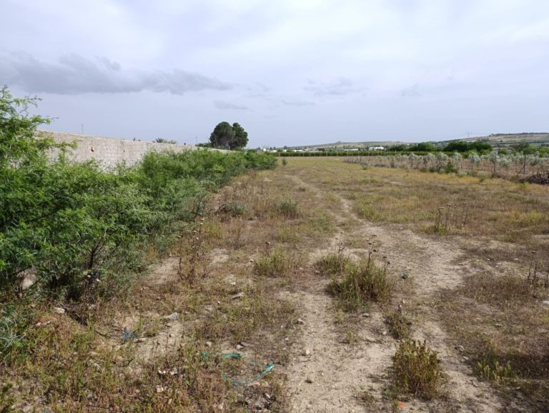 Terrain de 3300m2 jedaida rue principale