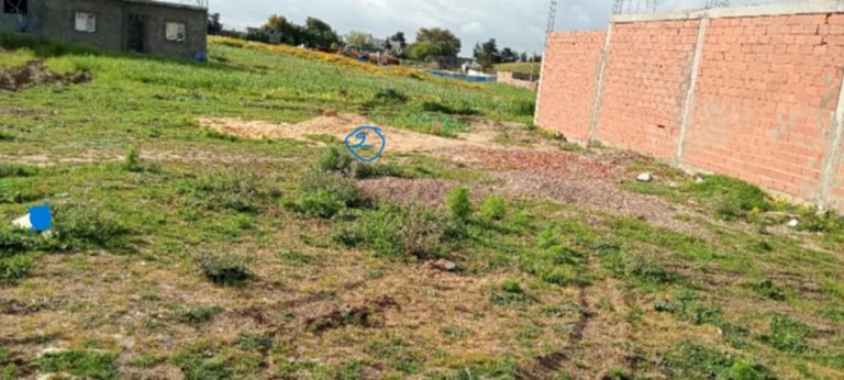 Deux lots de terrain &agrave; bizerte sud borj jeberi