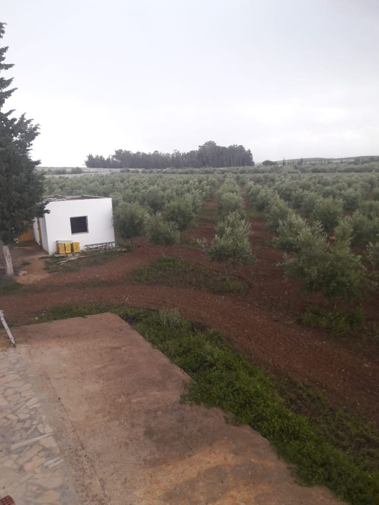 Senia cl&ocirc;tur&eacute; &agrave; manouba tunis