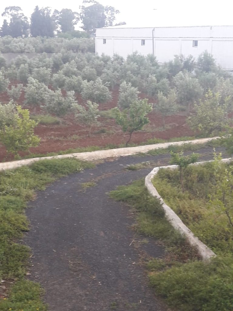 Senia cl&ocirc;tur&eacute; &agrave; manouba tunis