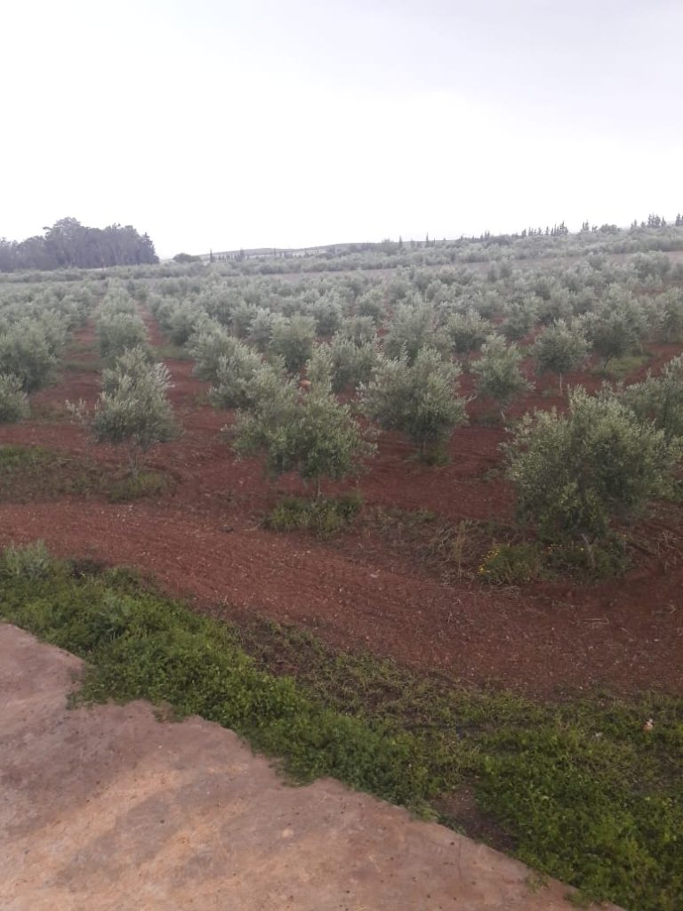 Senia cl&ocirc;tur&eacute; &agrave; manouba tunis