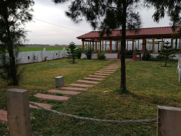 Restaurant fond et mur