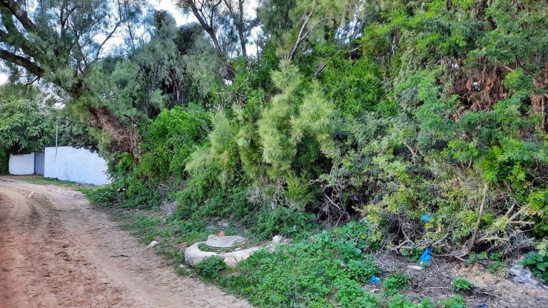 Maison rasjbel terrain 308 m 2 &agrave; 700m de rue