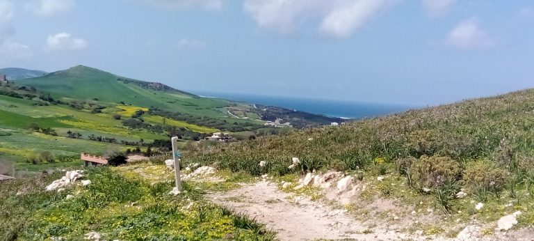 Terrain titre foncier individuel bizerte