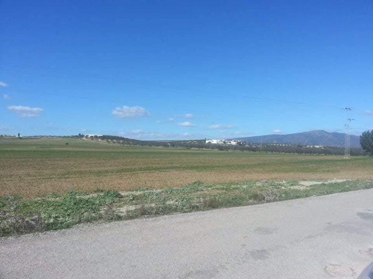 Terrain hammem bent jdidi