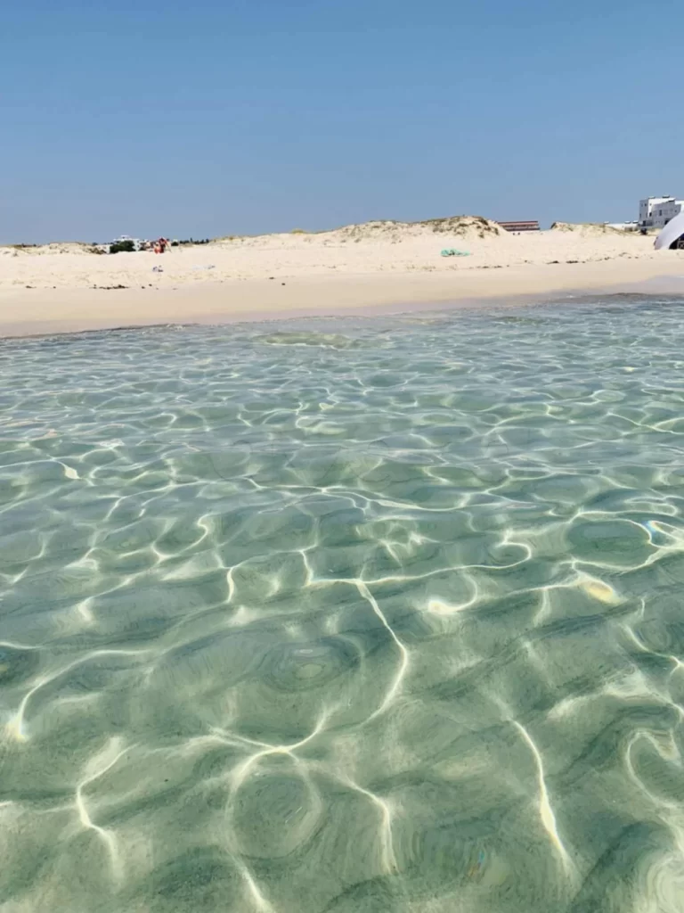 Une occasion &agrave; ne pas rater