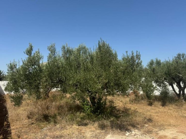 Terrain verdon ref t2023