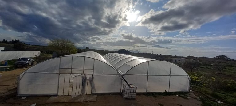 Projet agricole sur un terrain d'1 hectare